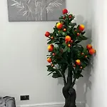 2 Bedroom Flat Close To City, Stadium And Coop Arena *