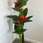 Apartmán 2 Bedroom Flat Close To City, Stadium And Coop Arena