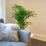 Marsh Lux 2 Appartement Manchester