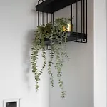 Modern * Manchester
