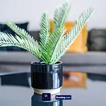 Old 516 Listing Apartment *