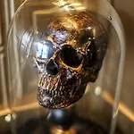 Gotham 5* Manchester