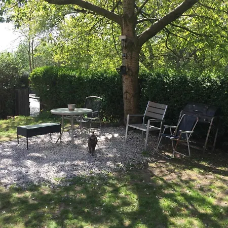 招待所 曼彻斯特皇后旅馆 曼彻斯特