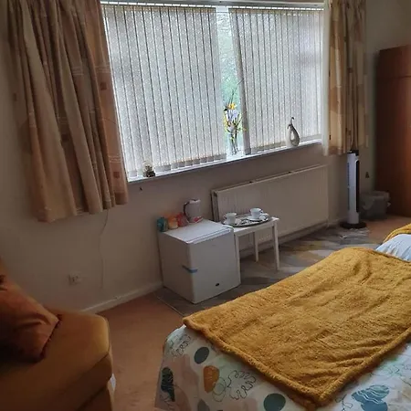 Abimdot Exquisite * Manchester