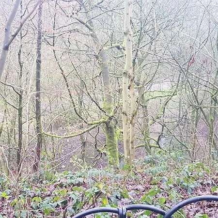 La1 Themed 65 Inch Tv Free Parking Own Fridge With Park View Δωμάτια σε οικογενειακή κατοικία *