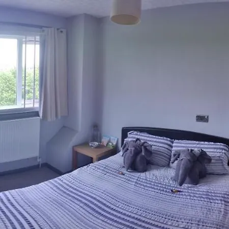 Dan's House Проживание в семье