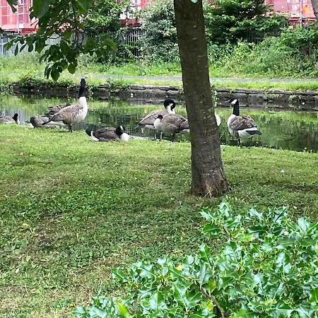 Cityfront Cosy Near Centre & Etihad Stadium, Free Parking * 曼彻斯特