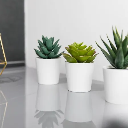 فندق Ancoats House *