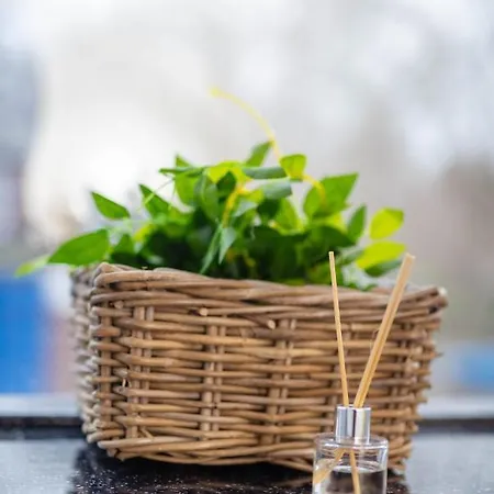 Airstaybnb Guest house *