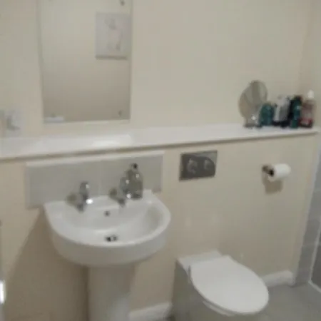 Проживание в семье Savoy Court *