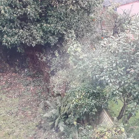 Holiday home Bird Song Old Trafford Manchester