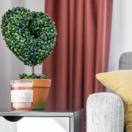 Luxurious Two Bedroom מנצ'סטר