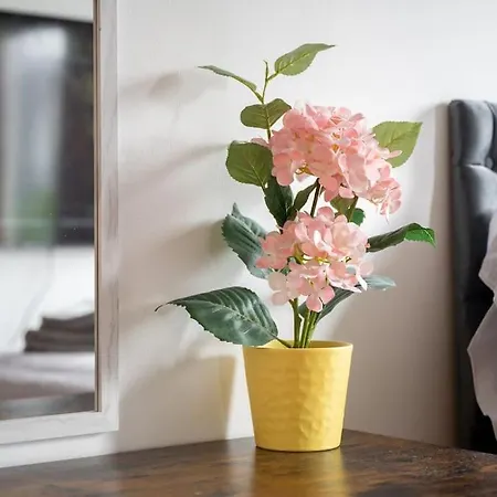 Piccadilly Luxury Three Bedroom דירה מנצ'סטר