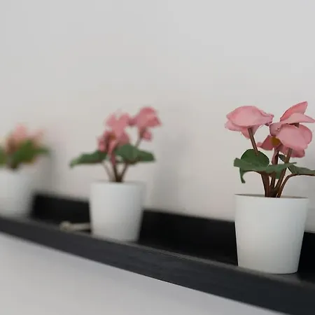 The Stadium Retreat 度假居