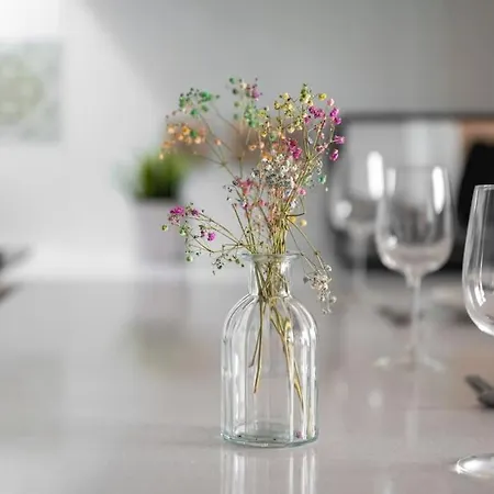 Apartament Modern