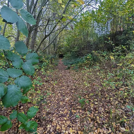 Spacious 4 Bed Riverside Сasa de vacaciones