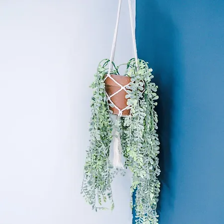 別荘 Rest&recharge At Waterway House