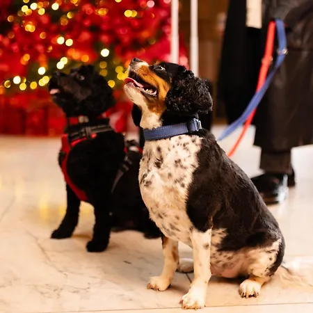 Kimpton Clocktower By Ihg Manchester
