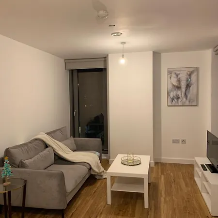 アパート View Luxury マンチェスター