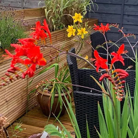 Сasa de vacaciones 5 Bedrm Hse! Ev! & Nr Citycentre! Mánchester