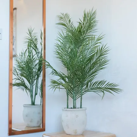 Richmond Retreat - Luxurious And Comfortable Spacious 2 Floor Lägenhet *