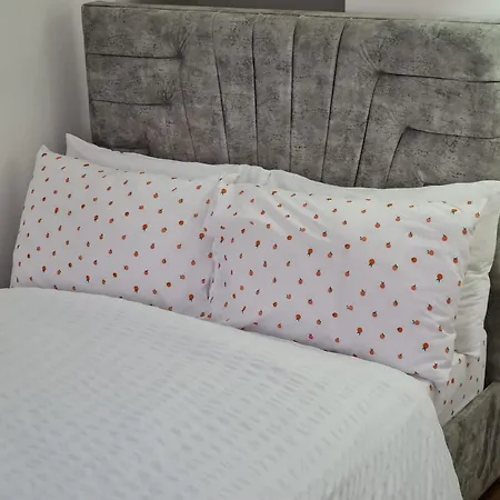 Guest house Scotland Street, Newton Heath *