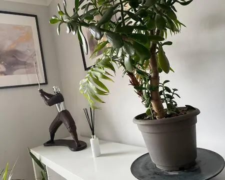 Appartamento Spacious, Smart Near Centre And Coop Arena Free Parking *