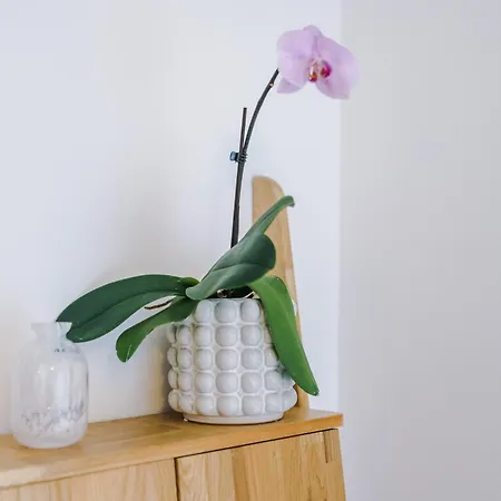 Elegant 2br Flat Near Northern Quarter Apartamento