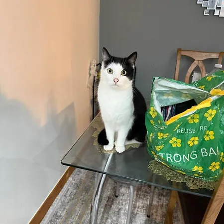 Privatunterkunft Contemporary Guest With Private Bathroom Near Centre *