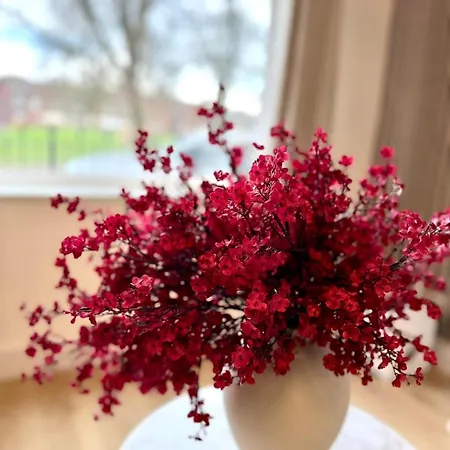 Casa vacanze Modern And Comfy 3 Bed Near Etihad And Coop Live Arena Manchester