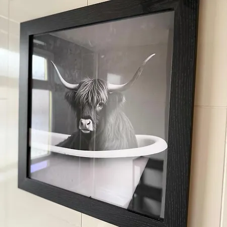 Casa vacanze Modern And Comfy 3 Bed Near Etihad And Coop Live Arena *