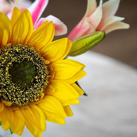 Appartamento Manchester Resort