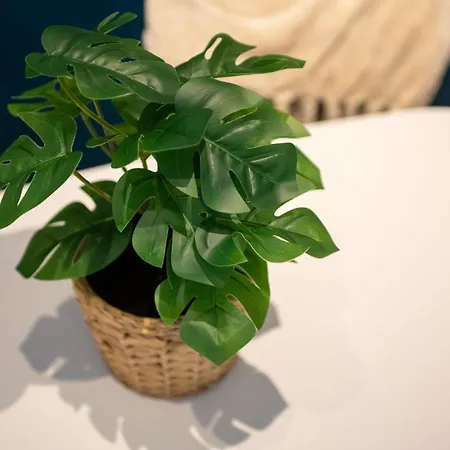 Appartamento Manchester Resort Manchester