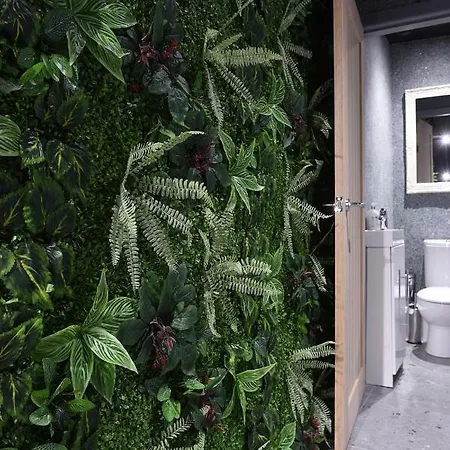La Jungle Du Swan *