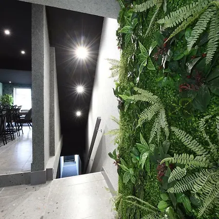 La Jungle Du Swan Mánchester