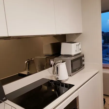 Luxury One Bedroom With Roof Top Access *