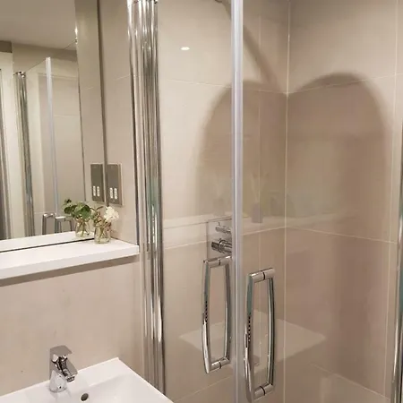 Luxury One Bedroom With Roof Top Access Apartment