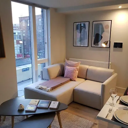 Luxury One Bedroom With Roof Top Access Apartment