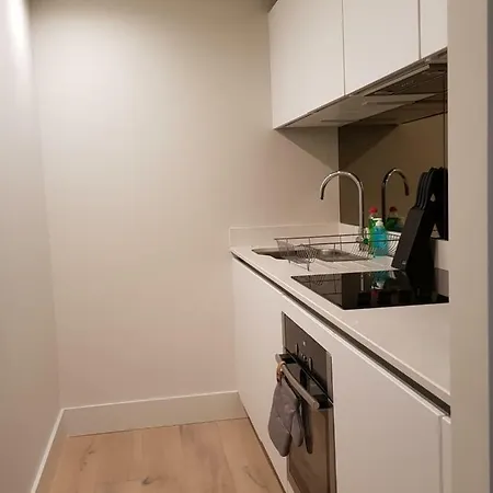 Luxury One Bedroom With Roof Top Access Apartment *