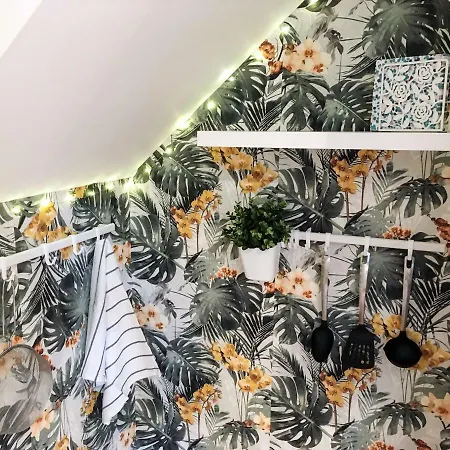 מלון 504 Wilmslow Road מנצ'סטר