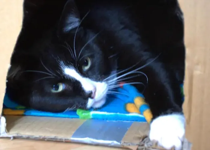 Dan's House Homestay szállás Manchester