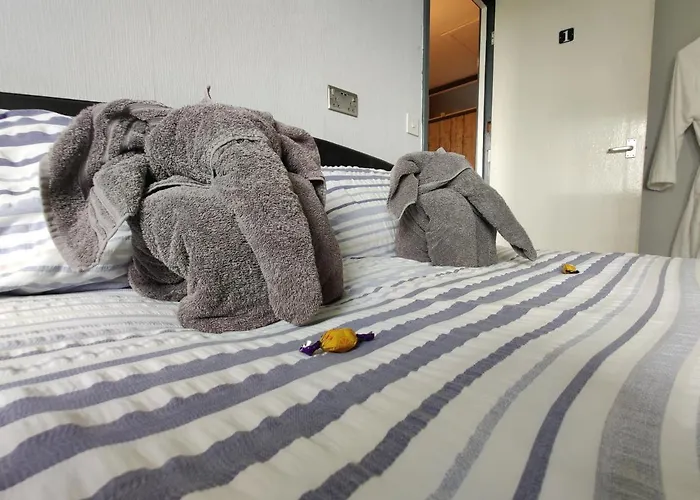 Dan's House Manchester