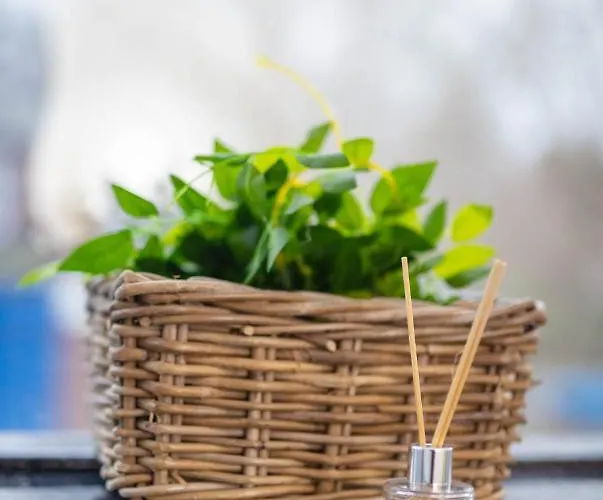 Airstaybnb Guest house *