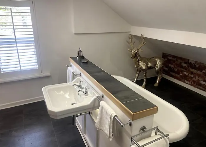 Ivy Mount Boutique Mánchester