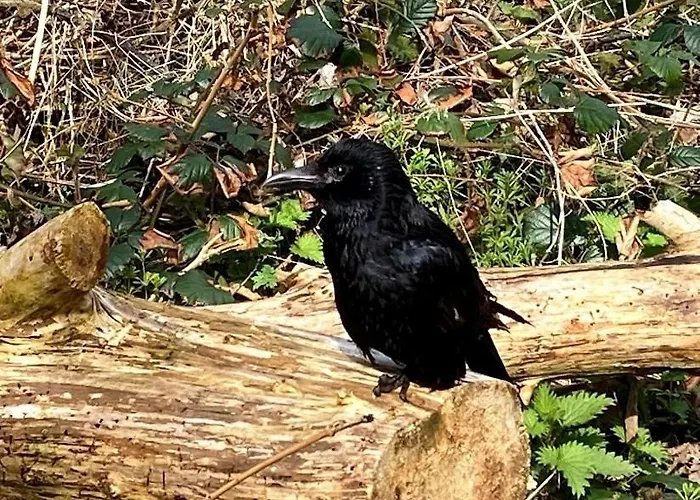 Northern Water Park Escape Sleeps 10 Σπίτι διακοπών *