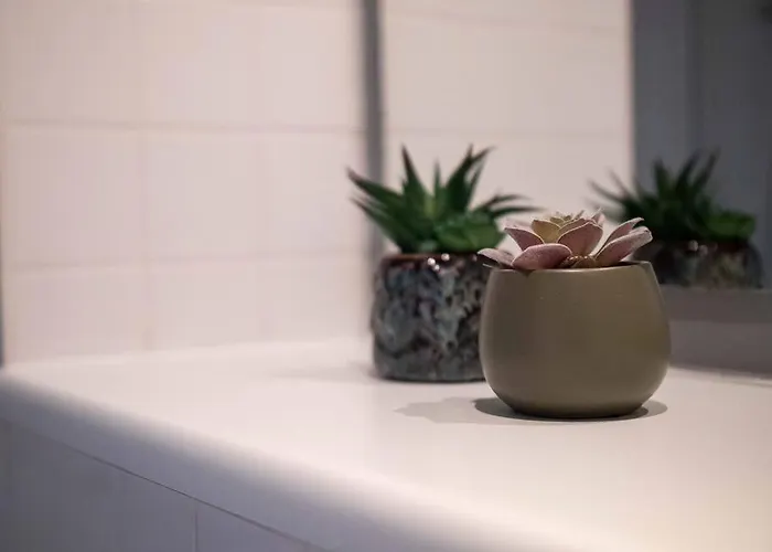 Luxury Centre By Superhost Daire Manchester