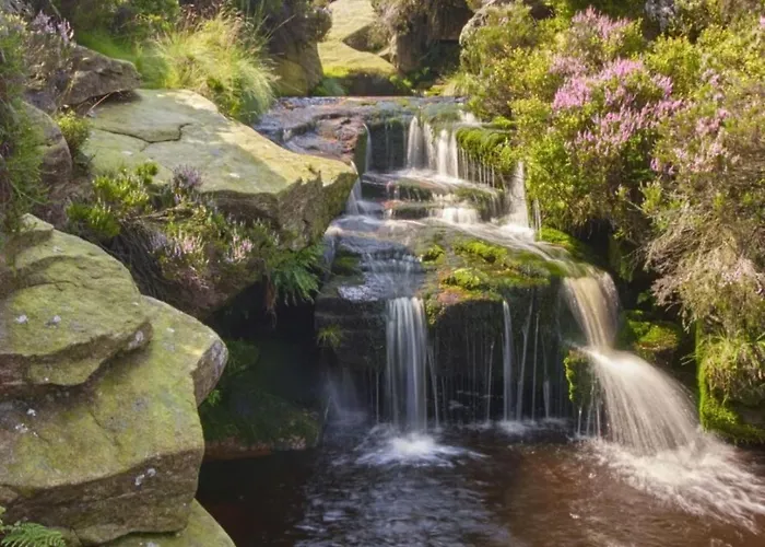 Lejlighed Manchester Resort