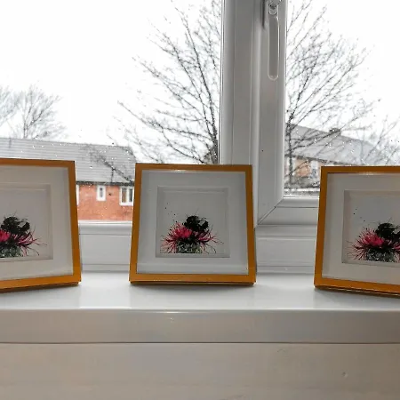 Gorgeous 3 Bed Near Airport *