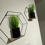 Deluxe In 20 Percent Off For Drake Concert Attendees!