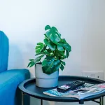 Videl Homes Prázdninový dům Manchester